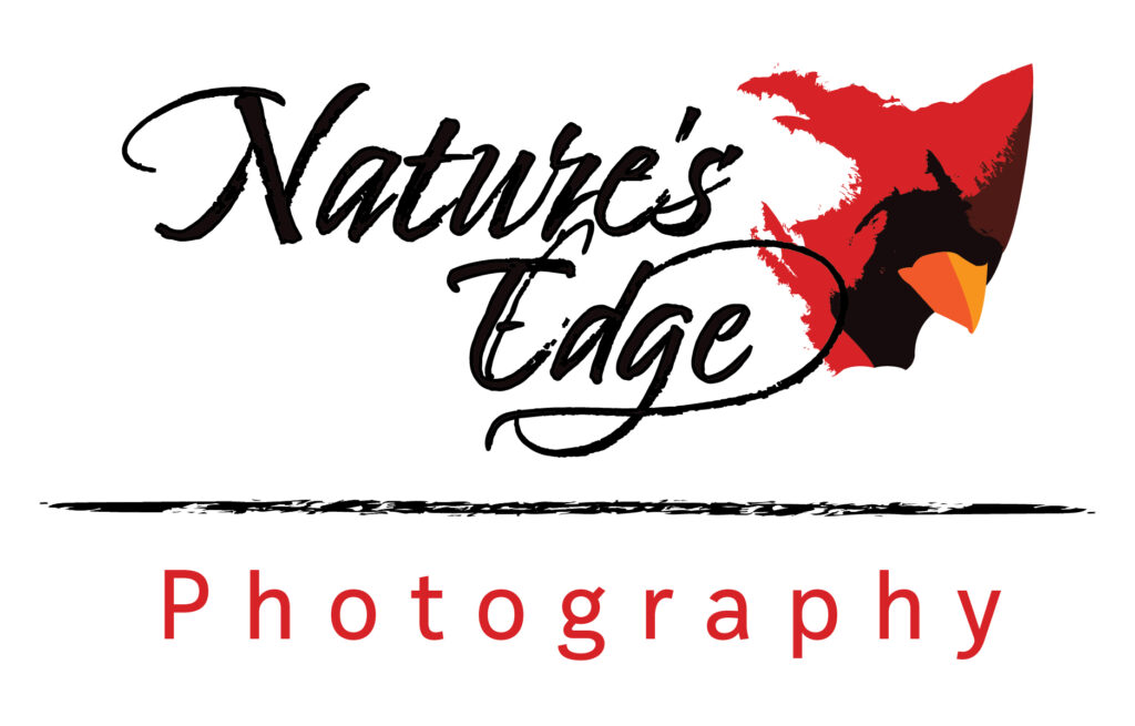 Natures Edge Photography Logo